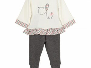 Newborn baby long sleeve cream color top with floral pattern ruffle trim on the waist and wrists, puppy design monogram on the chest with gray gaiters on a white background.