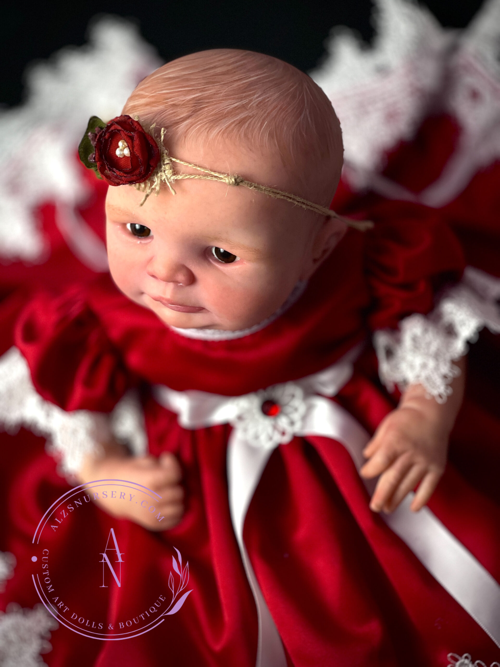Gifted reborn baby "Daisy" LE Dinah sculpt by Talita Pinheiro, brought to life by Ginger Kelly with Alz's Nursery.