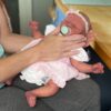 Henry sculpt by Jamie Lynn, brought to life by Ginger Kelly with Alz’s Nursery